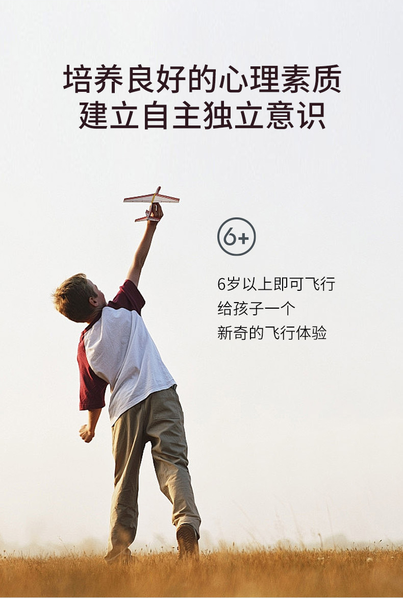 小精靈詳情_12.jpg 小精靈詳情_12.jpg